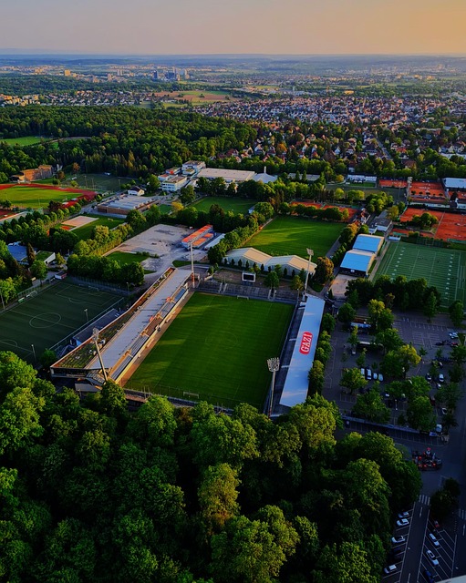 受到了他对 受到了他对