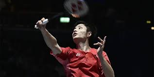 全能的表现 全能的表现