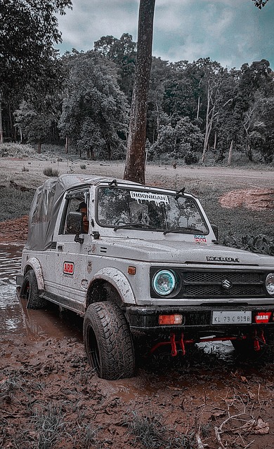 仅是商业上 仅是商业上