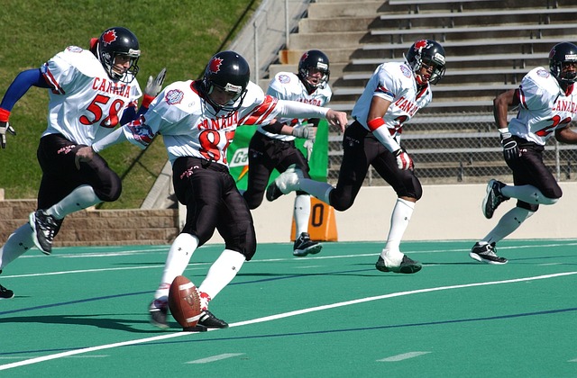 网球爱好者 网球爱好者