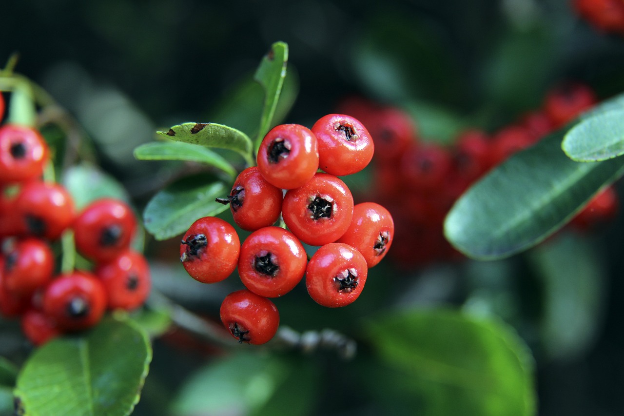 全世界的目 全世界的目