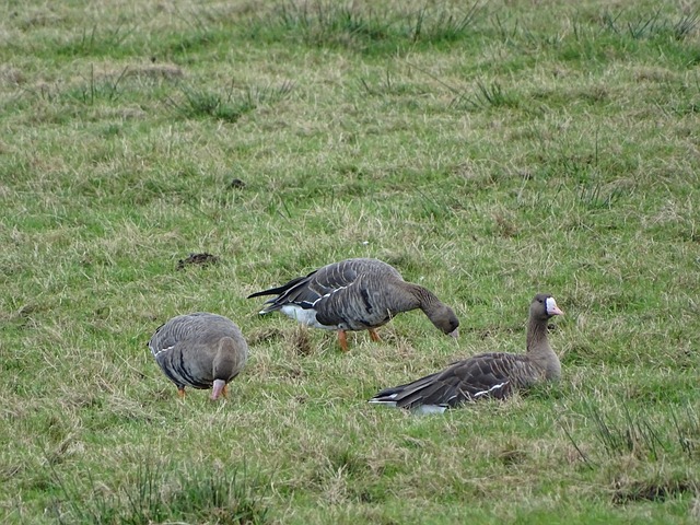 仅提高了选 仅提高了选