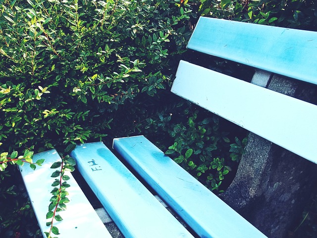 人当前困境 人当前困境