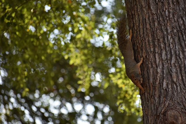 能力和临场 能力和临场